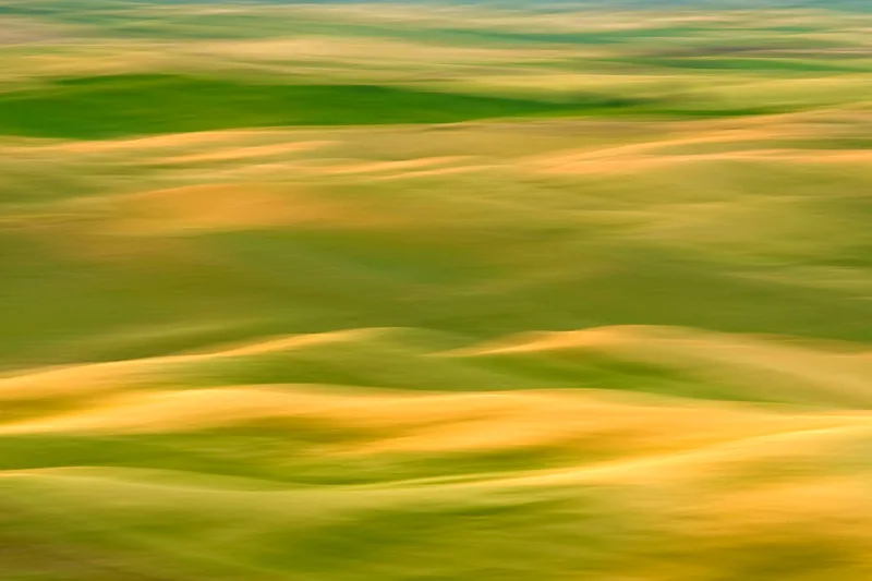 Ribbons of Light