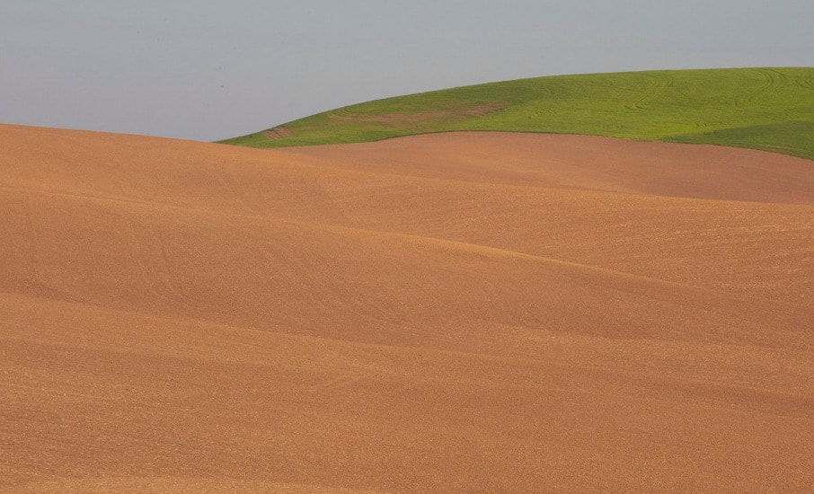 Farmland's Simple Lines