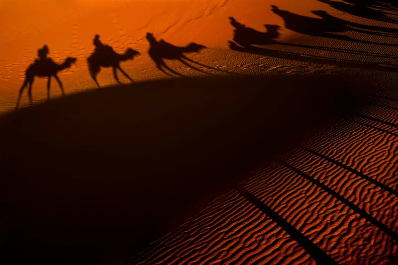 Shadows Morocco