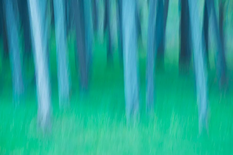 Stillness