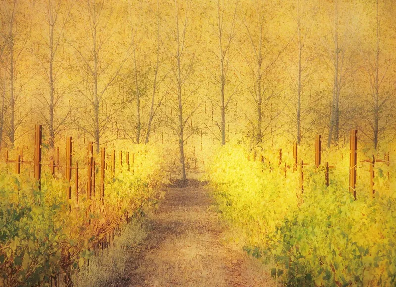 The Path