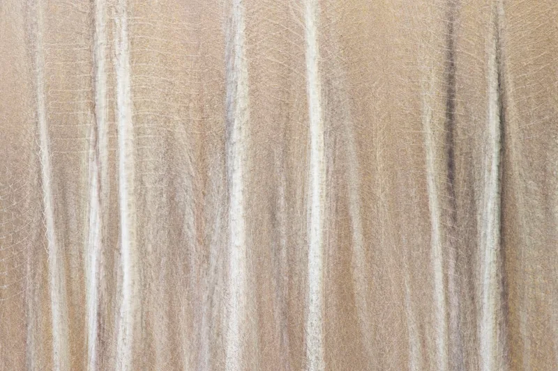Winter Pastel