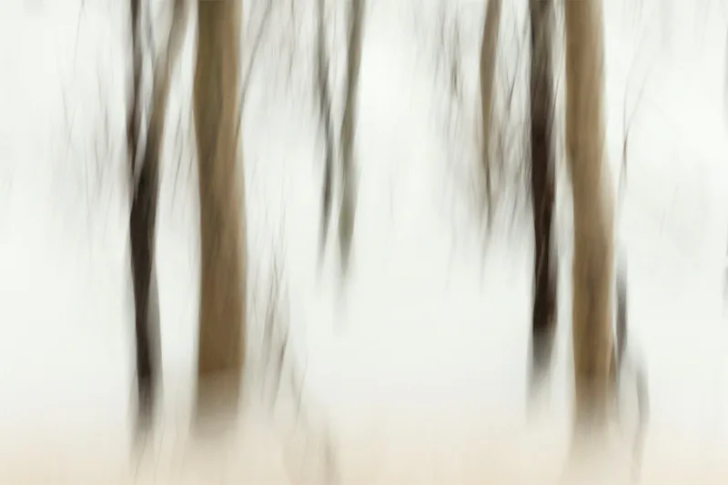 Winters Contrasts
