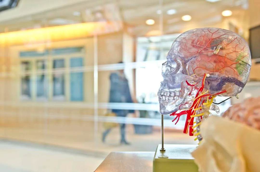 How Addiction affects your brain. But have you ever wondered how? Addiction Spectrum - Dr Paull Approved.  Photo courtesy of Jesse Orrico via Unsplash 
