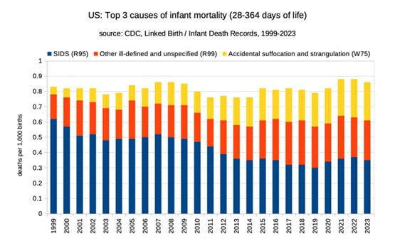 infant mortality and vaccines research, vaccine timing and infant death risk, pediatric vaccine safety analysis, informed consent and childhood vaccination, emerging evidence on infant vaccination outcomes