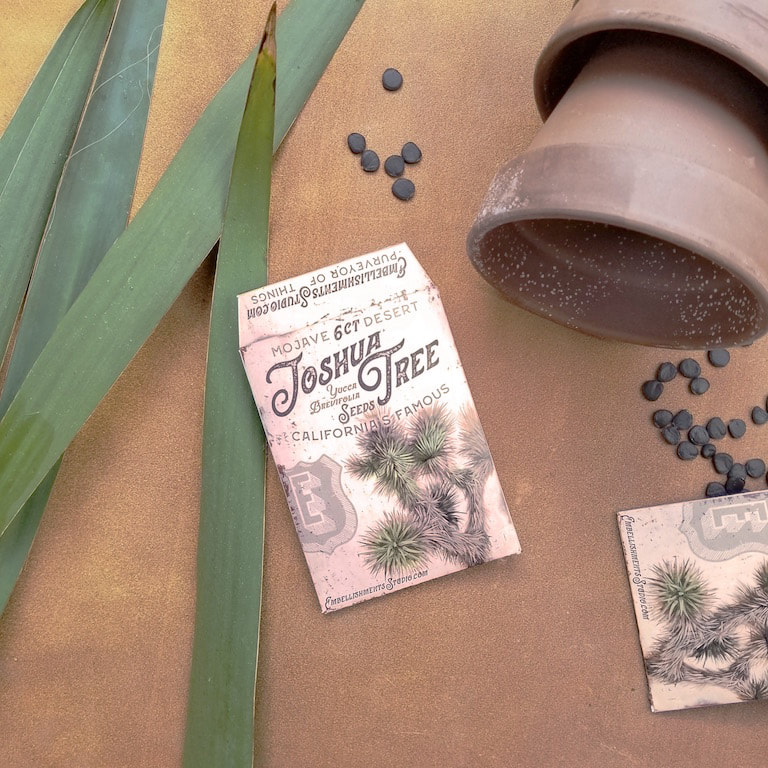 Joshua Tree Seeds in a packet featuring JTNP art by Aaron Christensen