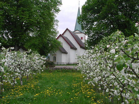 Picture