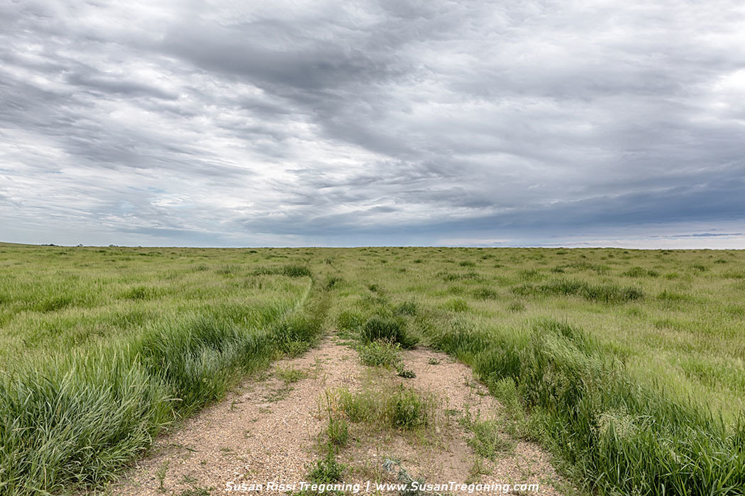 A wide prairie landscape with a narrow dirt path leading across open grassland under a cloudy sky, marking the hilltop site where Almanzo and Laura Ingalls Wilder’s claim shanty once stood.