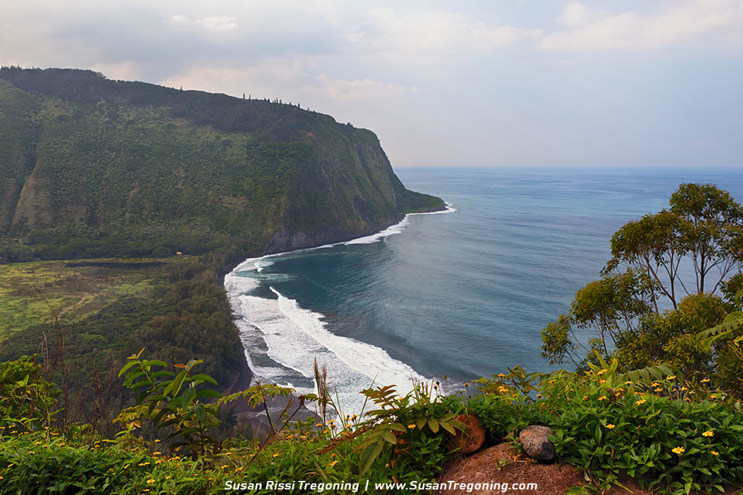 Hawaii Island's Waipi'o Valley the Valley of Kings