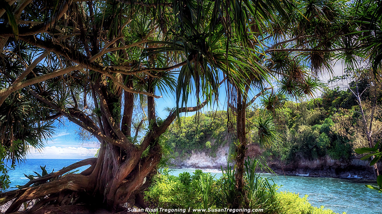 A Visit to Hawaii Tropical Botanical Garden: Big Island’s Stunning Rainforest Walk