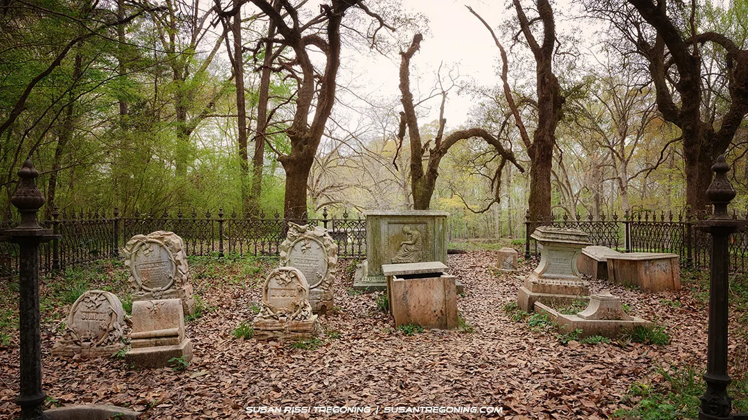 Tucked deep in the woods along the Natchez Trace Parkway, this small family cemetery feels both hidden and timeless. Weathered stones rest beneath towering trees and a carpet of fallen leaves, enclosed by an old iron fence. It isn’t listed in any Parkway guide, but discoveries like this—hauntingly beautiful, solitary, and steeped in memory—are what make exploring the Trace so unforgettable.