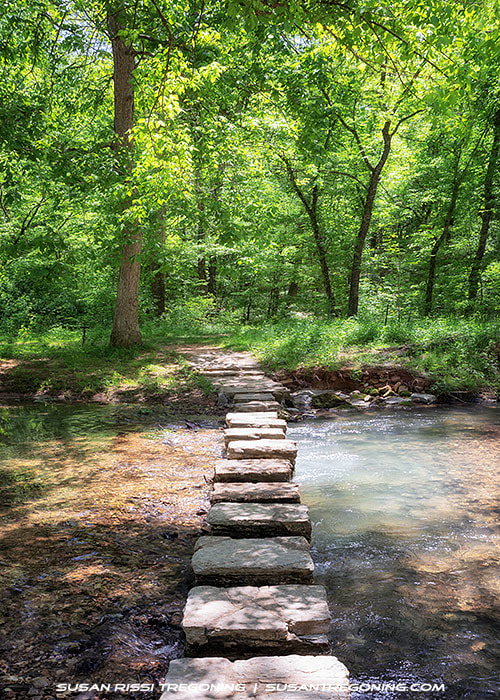 A shallow creek running through a green forest, crossed by a straight line of large, flat stepping stones leading to a dirt trail on the opposite bank. Sunlight filters through dense foliage, and the scene has a calm, woodland atmosphere.
