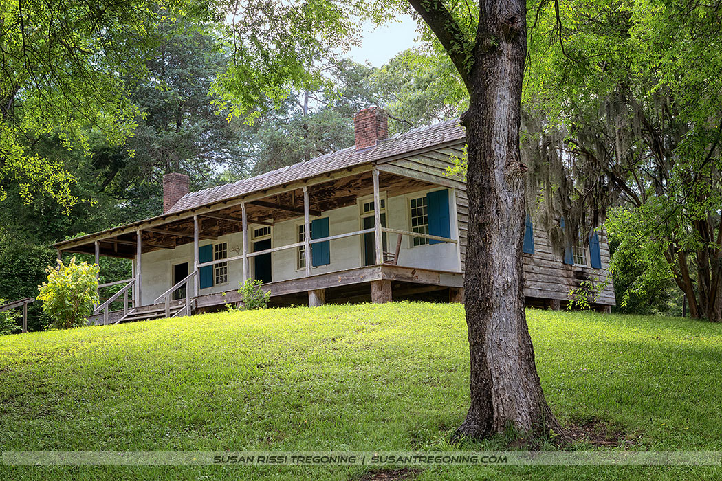 A rustic wooden house with a long front porch stands on a grassy slope surrounded by tall green trees. The structure has a slanted roof with two brick chimneys, blue shutters on the windows, and is raised slightly on wooden supports. Sunlight filters through the surrounding foliage.