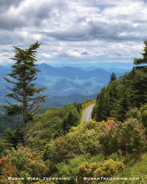   
A winding mountain road curves through dense evergreens near Waterrock Knob Visitor Center. Layers of blue‑toned ridges stretch into the distance beneath a partly cloudy sky.