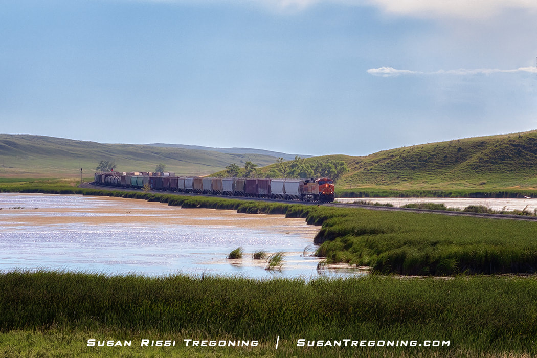 An orange locomotive leads a long freight train across a narrow strip of land beside a lake, with rolling grassy hills in the background under a mostly clear sky.