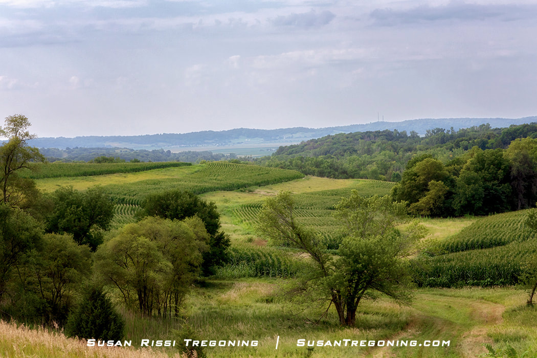 A breathtaking view of the lush green countryside along the Loess Hills National Scenic Byway near Glenwood, Iowa.