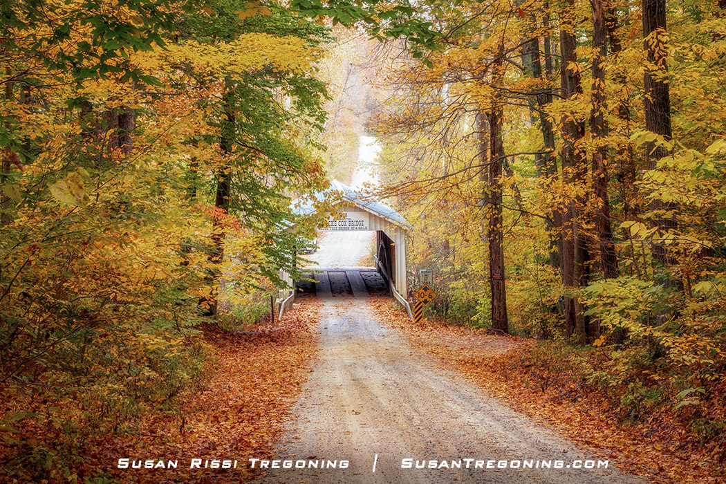 A white wooden covered bridge labeled “Cox Bridge” stands at the end of a gravel road, surrounded by bright autumn foliage in shades of yellow, orange, and green, with a small stream visible through the bridge opening.