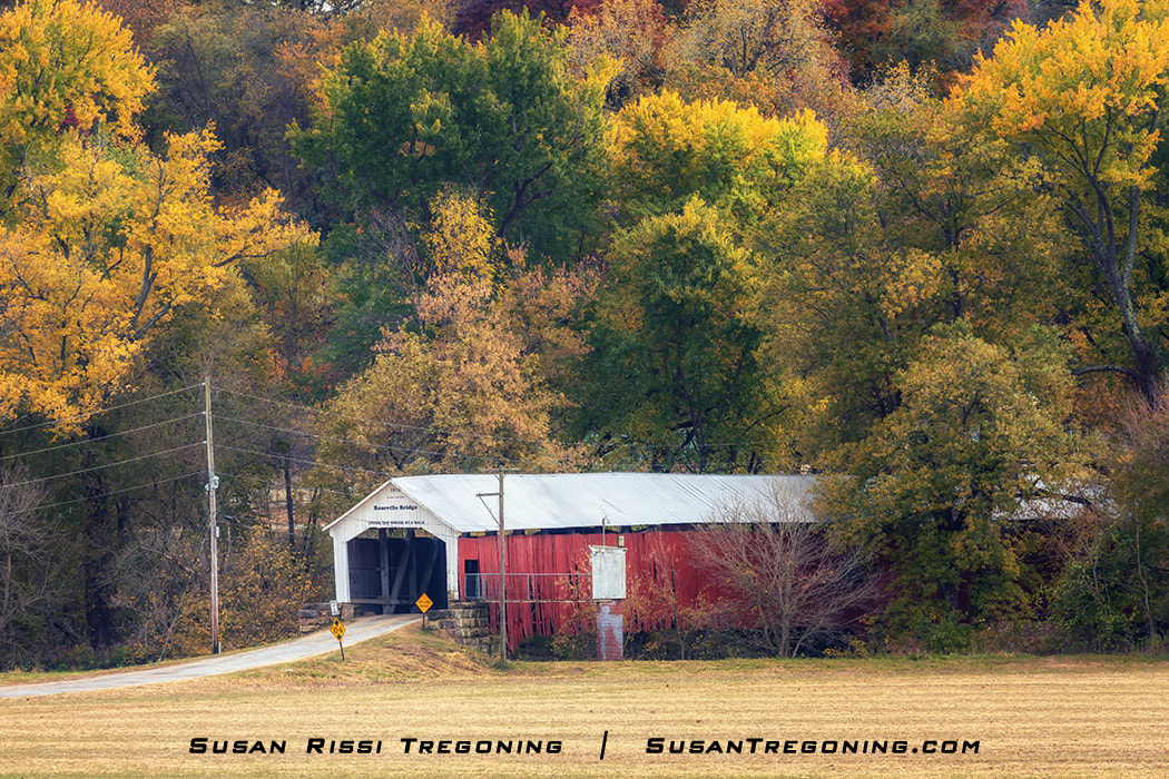 Roseville Covered Bridge surrounded by dense autumn foliage in shades of green, yellow, and orange, with a small road leading to the white‑trimmed red bridge and utility poles along the approach.