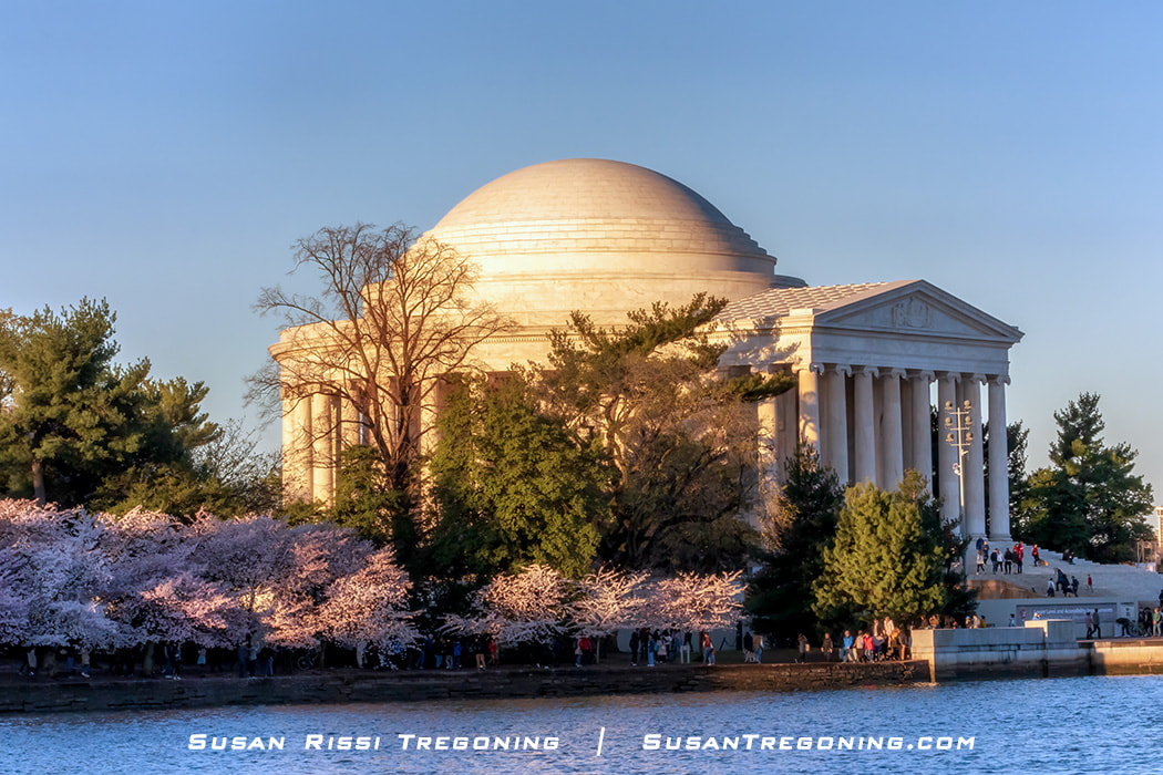 A view across the Tidal Basin toward the Jefferson Memorial, with cherry blossoms in full bloom framing the scene. The neoclassical memorial stands beneath a domed roof, reflected in the water, with visitors walking around the structure.