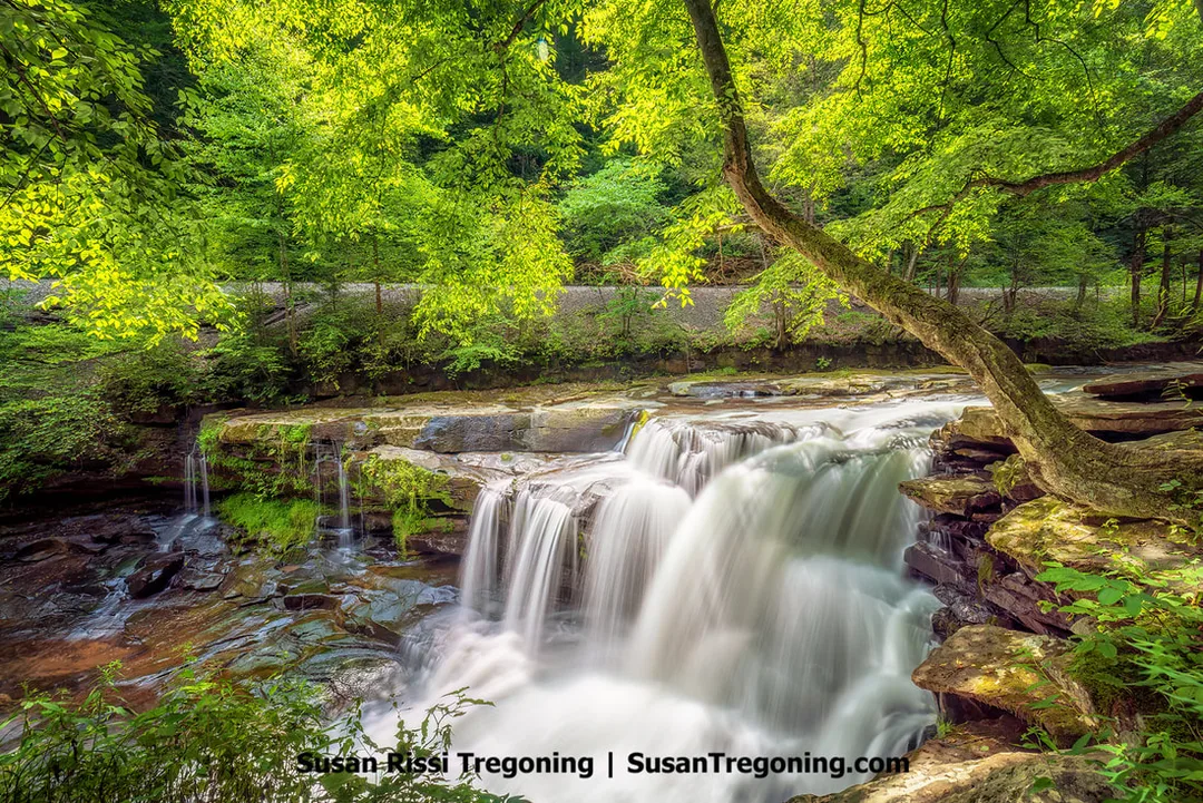 Dunloup Creek Falls in Fayette County, West Virginia, a roughly 20‑foot waterfall with a steady, year‑round flow, cascading over a rock ledge as Dunloup Creek continues toward its confluence with the New River near the Thurmond Train Station.