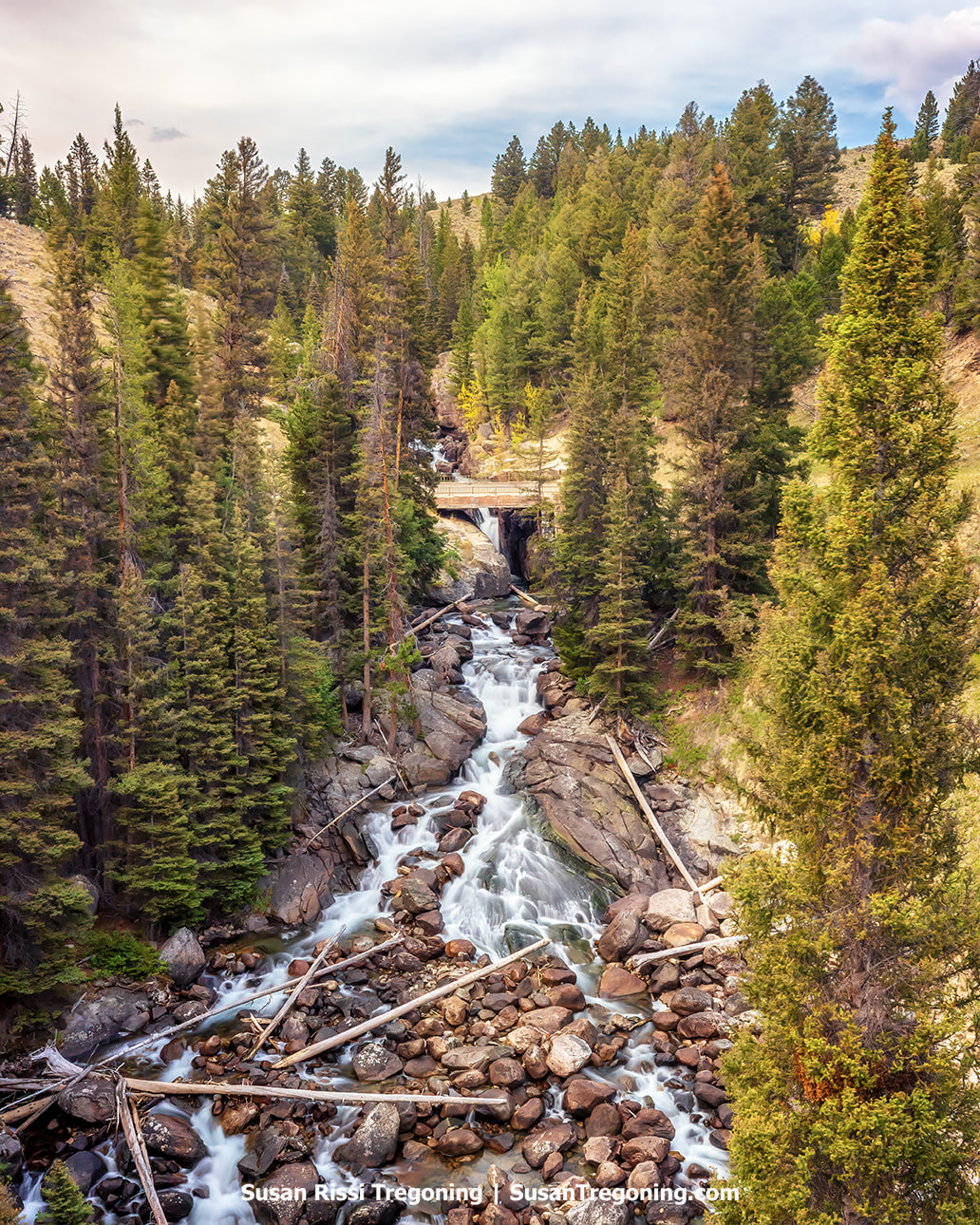 A mountain stream cascades down a rocky slope through dense evergreen forest. Water flows over large boulders and fallen logs, forming small waterfalls beneath a partly cloudy sky, with a wooden bridge spanning the creek in the background.