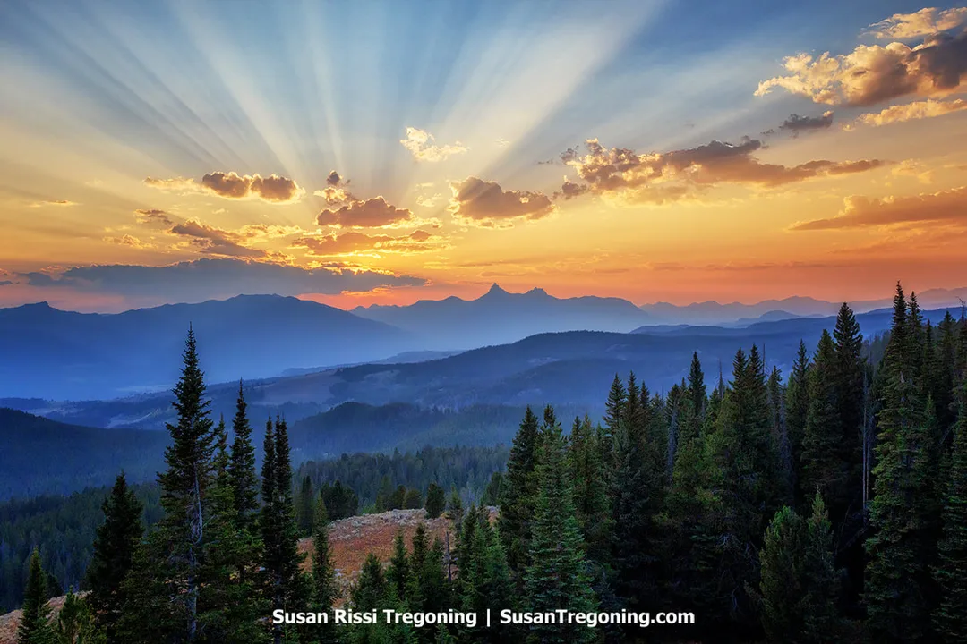A sunset view over layered mountain ridges with dense evergreen forest in the foreground. The sun sits behind clouds near the horizon, casting broad rays of light across the sky above the distant peaks.