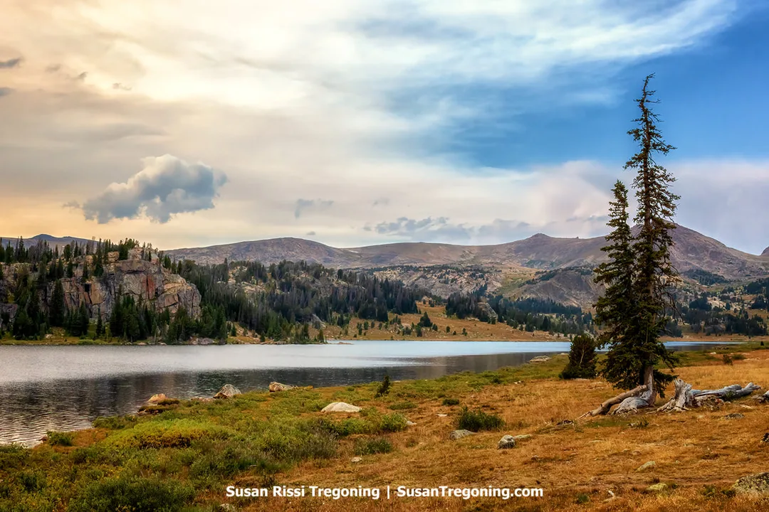 A calm mountain lake bordered by rocky ground, grassy areas, and evergreen trees. A tall pine with exposed roots stands in the foreground, with rugged mountain peaks rising in the distance beneath a partly cloudy sky.