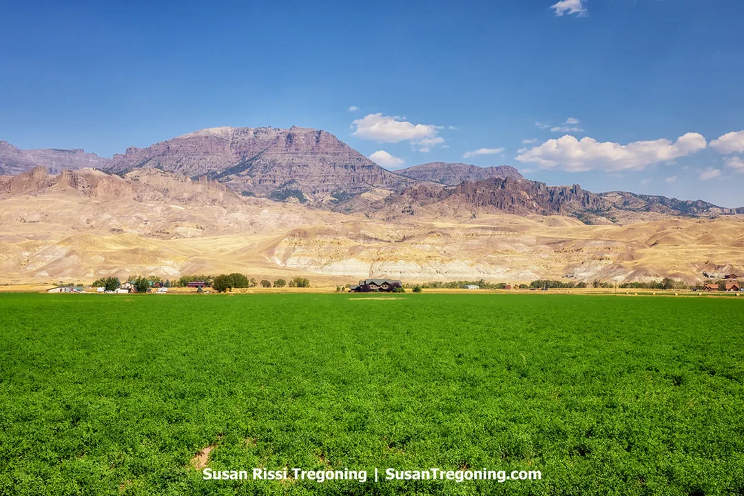A wide green agricultural field stretches across the foreground with a few small buildings and trees near the center. Behind them, rugged rocky mountains rise in layered shades of tan and brown under a blue sky with scattered clouds.