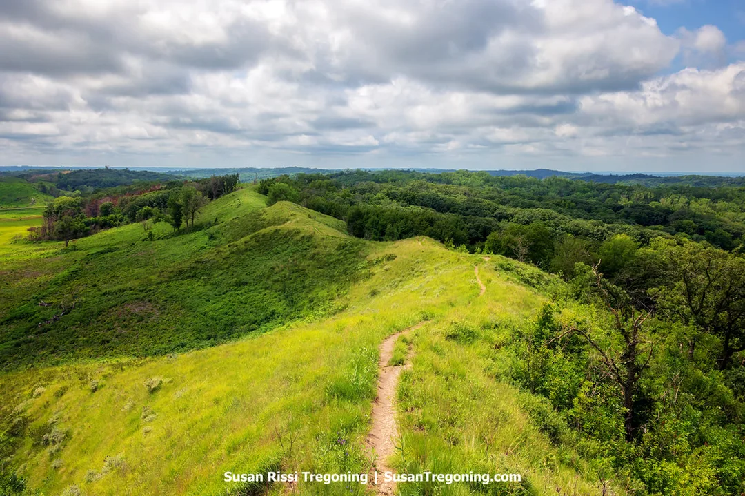  A view from The Spot overlook in the Loess Hills State Forest, showing one of the best interior views of the Loess Hills. A narrow path runs along the hill’s spine, marking the start of an easy 1.2‑mile, lightly trafficked loop trail.