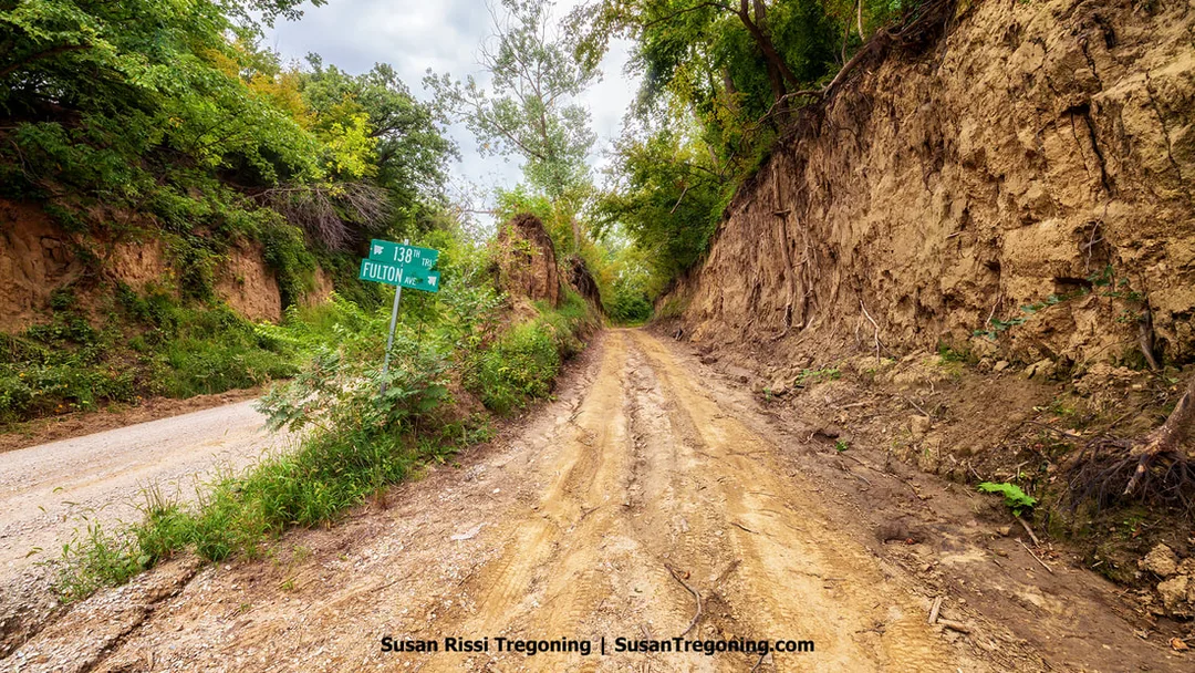 A view of a slender band of loess soil separating Fulton Avenue and 138th Trail. Fulton Avenue is a B‑level dirt road along the Loess Hills National Scenic Byway near the Fountainbleu Loop in Harrison County, Iowa.