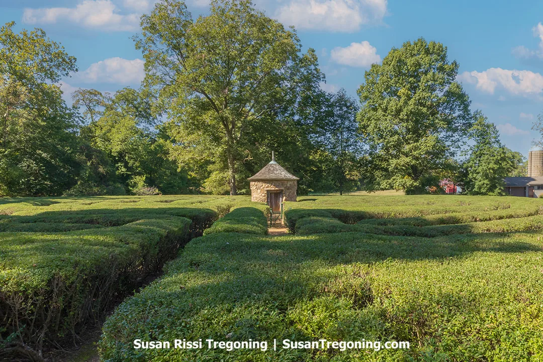 A neatly trimmed hedge maze fills the scene, its green walls forming geometric pathways that lead toward a small wooden pavilion with a pointed roof at the center. Tall trees with full summer foliage surround the maze, and a bright sky with scattered clouds casts even light across the landscape.