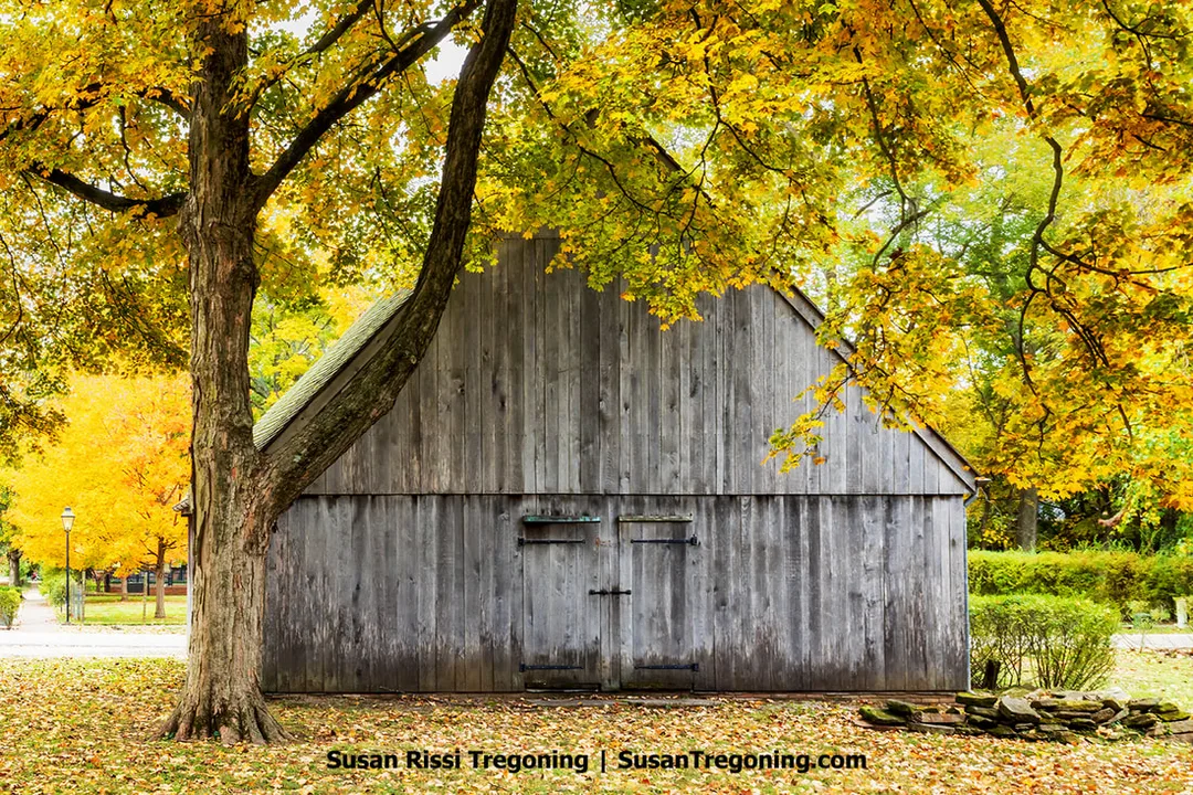 A weathered wooden barn with a gabled roof stands beneath a large tree filled with bright yellow and orange autumn leaves. Fallen leaves blanket the ground around the structure, and soft sunlight filters through the branches. Benches, hedges, and additional trees with fall foliage appear in the background, creating a calm park‑like setting.