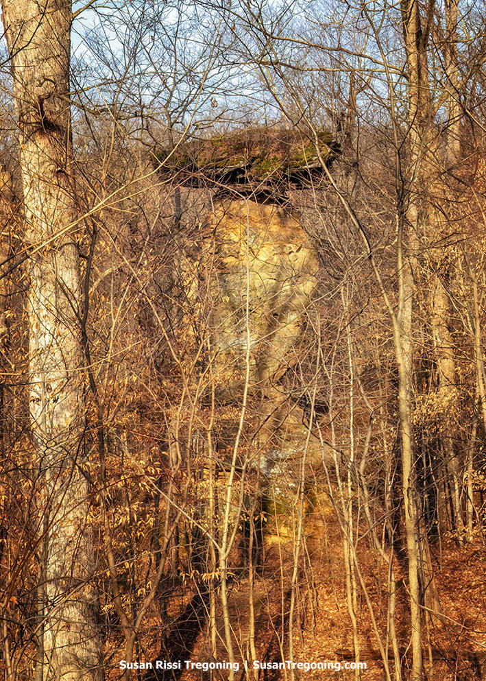 Leafless trees fill a dense forest surrounding a large moss‑covered stone block rising above the forest floor at Jug Rock Shoals in Indiana. The massive rock formation is partially obscured by the trees, with a narrow leaf‑covered path leading toward it through the quiet winter woods.