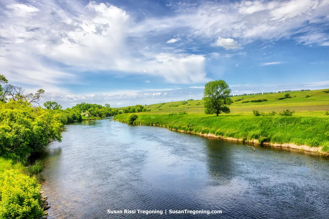 Morning light reflects on a calm stretch of the Sheyenne River below Baldhill Dam, with clear water, tall reeds, and dense green forest rising along the banks beneath a bright North Dakota sky.