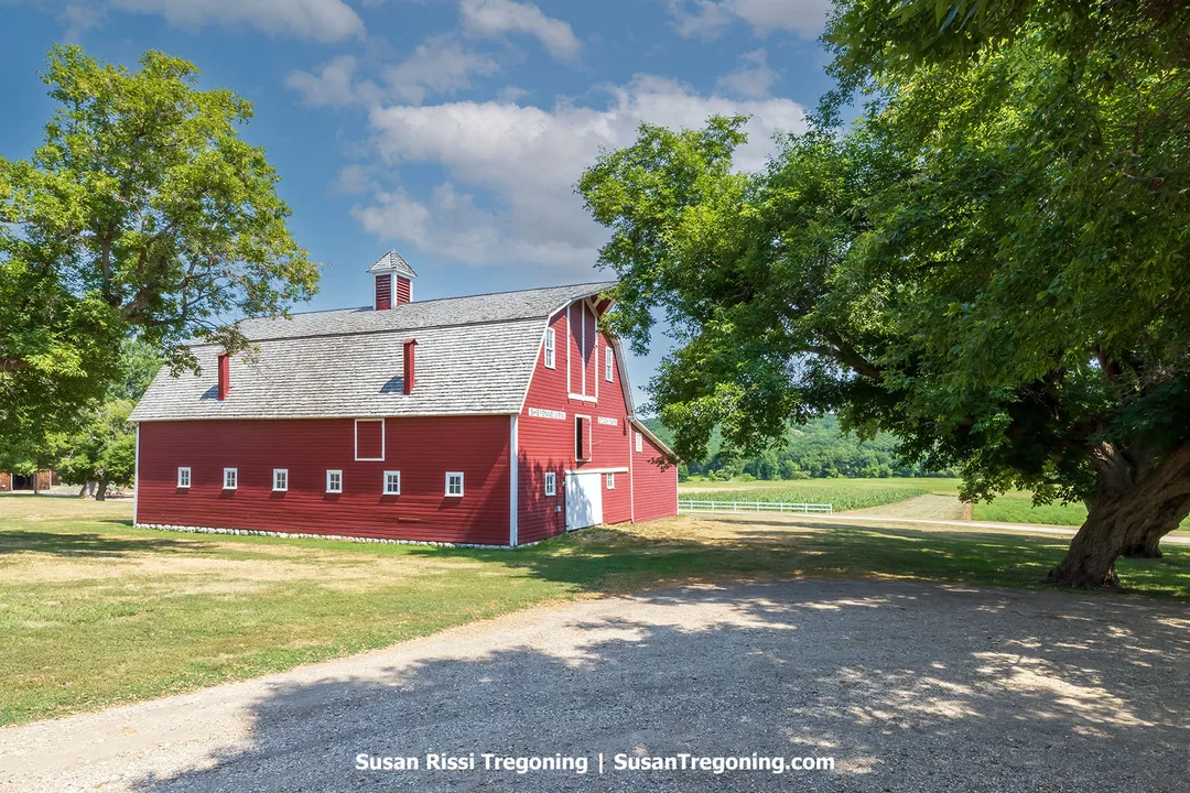 Red wooden stock barn with white trim standing in a grassy park setting, surrounded by large trees and open fields at Fort Ransom State Park in North Dakota.