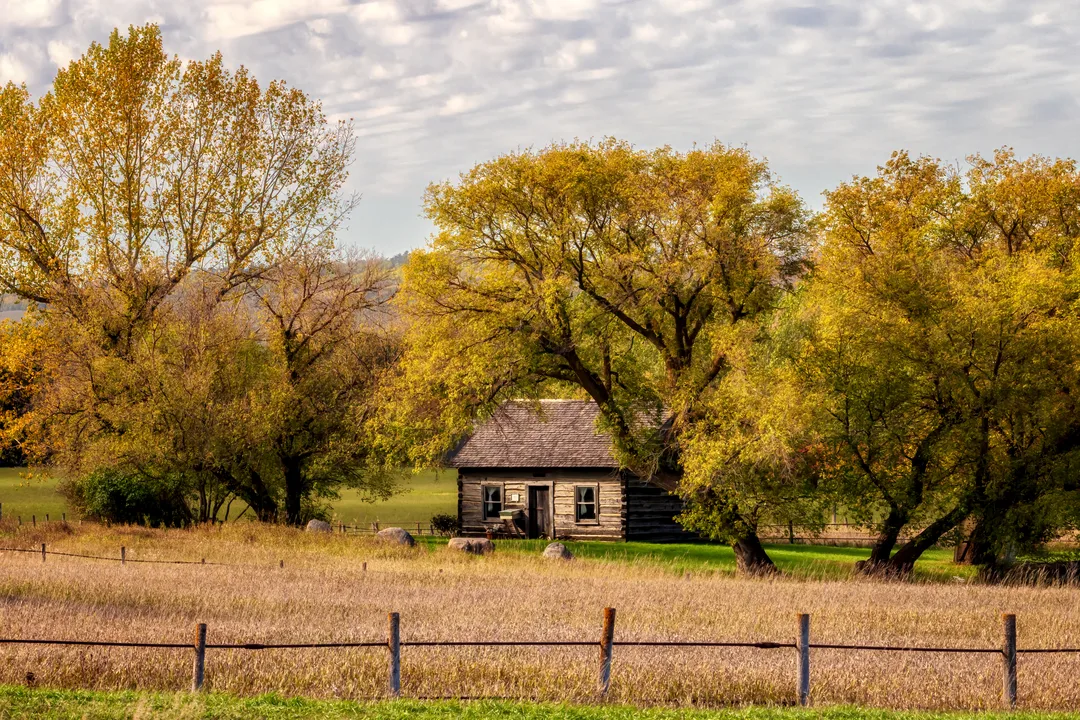 Theodore P. Slattum Cabin near Fort Ransom, North Dakota, surrounded by autumn cottonwood trees in the Sheyenne River Valley along the Sheyenne River Valley National Scenic Byway.