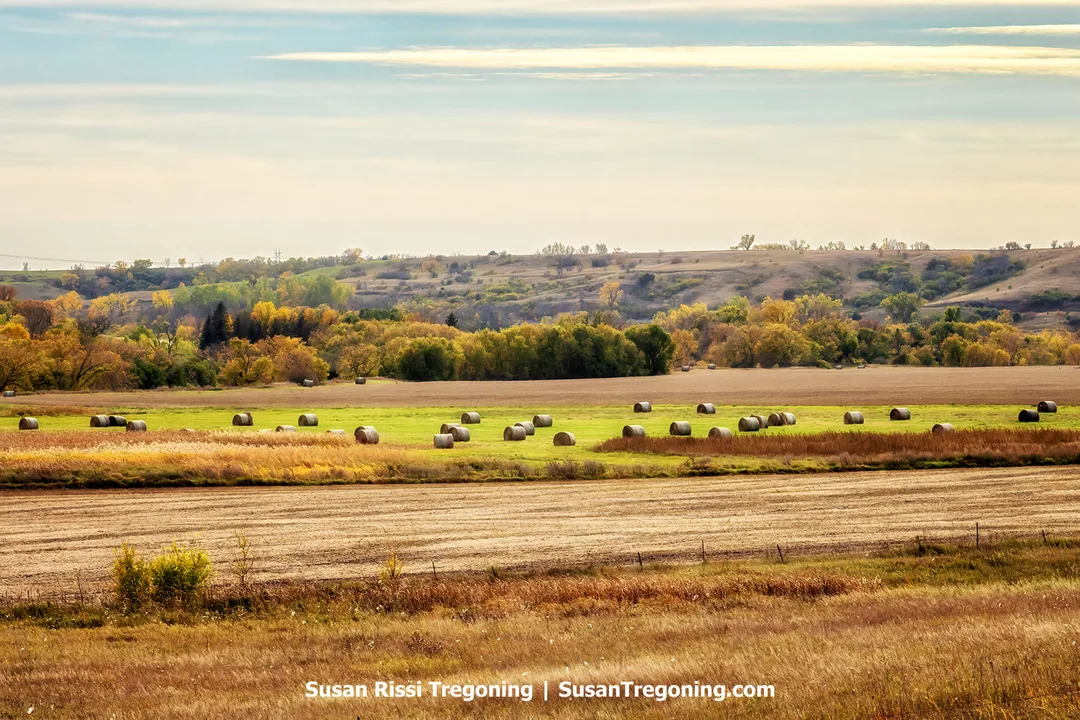 Round hay bales sit in harvested fields along the Sheyenne River Valley National Scenic Byway, with autumn-colored trees, rolling hills, and farmland stretching across the North Dakota landscape.