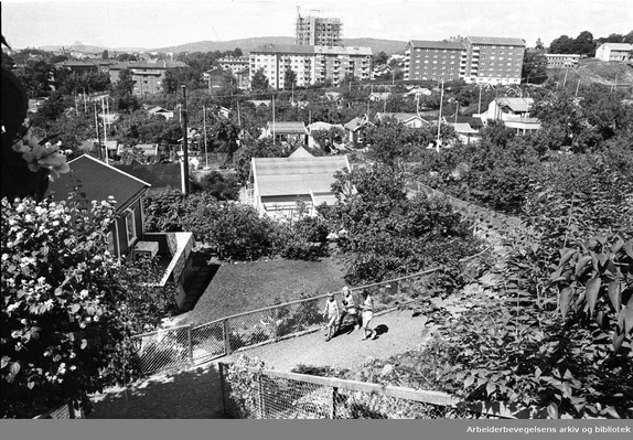 Image description