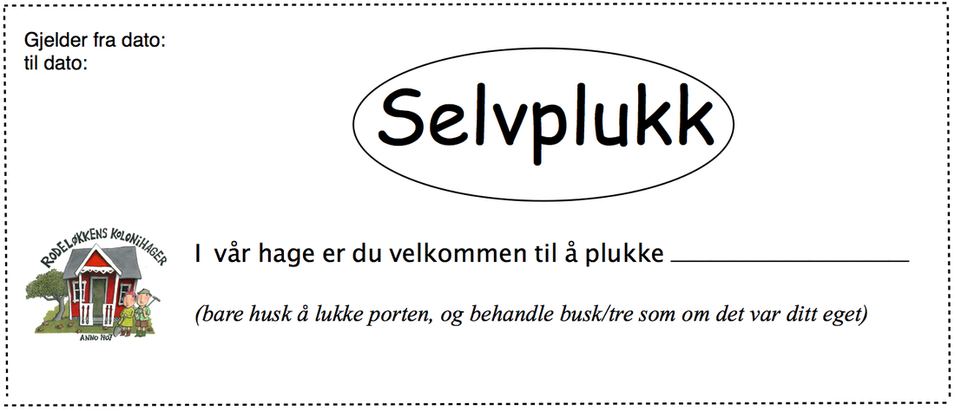 Bilde