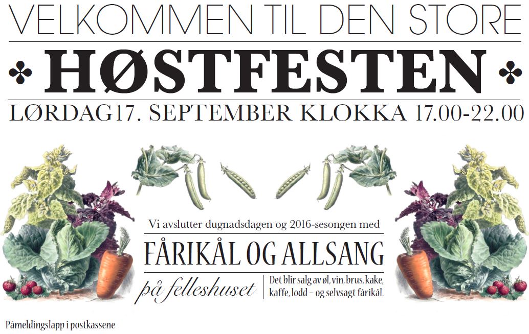Bilde