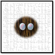 Main page item loose oval solid semi-black opal pair $1200C