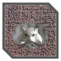Main page item men's silver & sapphire panther head ring $300K