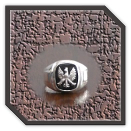 MR00200P-Sterling Silver Onyx Men's Ring.