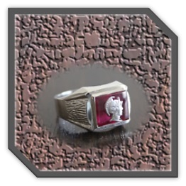 MR00300Q-Sterling Silver Synthetic Ruby Men's Ring.