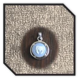 PE00150G-Sterling Silver Wedgwood Pendant.