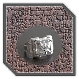 MR00300C-Sterling Silver Men's Ring.