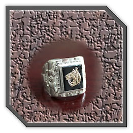 MR00400E-Sterling Silver Onyx Men's Ring.
