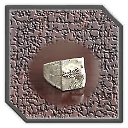 MR00400F-Sterling Silver Horses Head Men's Ring.