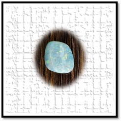 LG03500B-Solid Shell Opal.