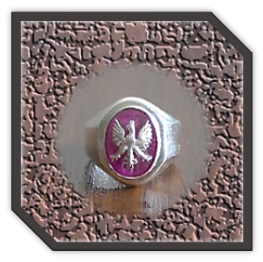 MR00260B-Sterling Silver Synthetic Ruby Men's Ring.